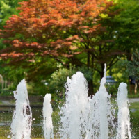 池の噴水