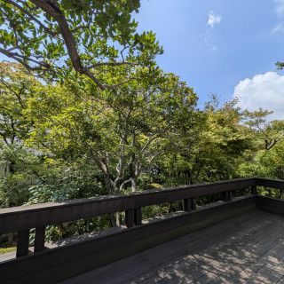 テラスからみた庭園