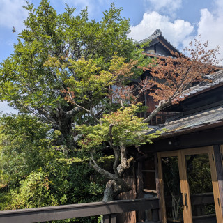 テラスからみた建物