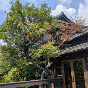 テラスからみた建物|767061さんのTHE GARDEN PLACE SOSHUEN(ザ・ガーデン・プレイス 蘇州園)の写真(2518191)