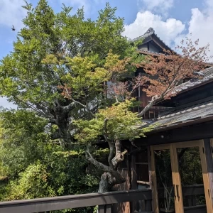 テラスからみた建物|767061さんのTHE GARDEN PLACE SOSHUEN（ザ・ガーデン・プレイス 蘇州園）の写真(2518191)
