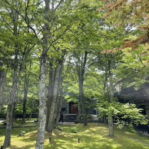 自然の多い庭|767078さんの旧軽井沢KIKYOキュリオ・コレクションbyヒルトン(元:旧軽井沢ホテル)の写真(2517832)