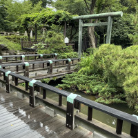 こちらを参進で進むそうです。