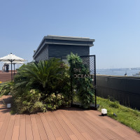 屋上の入り口から緑いっぱい‼︎