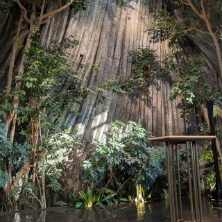 石や木にも一つ一つ意味があった