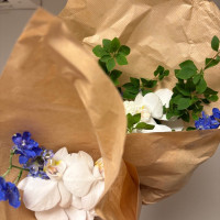 お花いただきました
