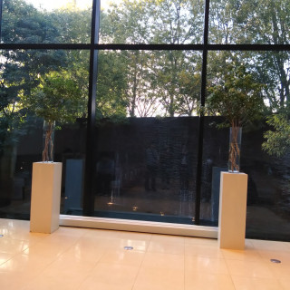 挙式会場からは自然が見える