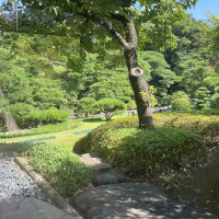 庭園