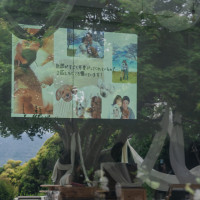 プロフィールムービー