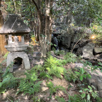 日本庭園風で素敵なお庭