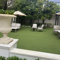 芝が綺麗です。