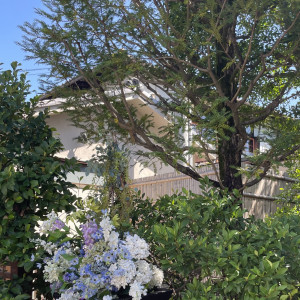 入り口周り|767977さんのHATSUNEYA GARDEN ~since1868 Kawagoe~(ハツネヤ ガーデン)の写真(2526533)