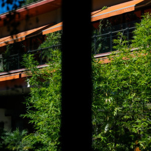 宿泊部屋からの景色|767983さんのWITH THE STYLE FUKUOKA（ウィズ ザ スタイル フクオカ）の写真(2522243)