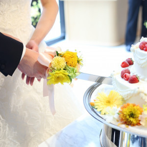 ケーキ入刀|768004さんのニーズ青山 by T&G WEDDING (旧 青山迎賓館)の写真(2523306)