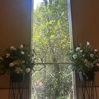 チャペルから樫の木が見える