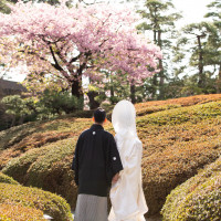 当日のお庭での撮影です。桜がとても綺麗でした。