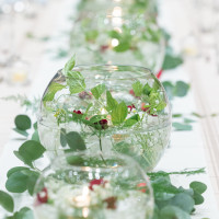 姫リンゴをおいてもらいました