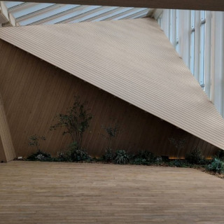 フラワーシャワーをするスペース