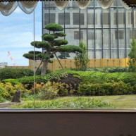 披露宴会場からの景色