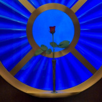 エレベーターにある薔薇は生花