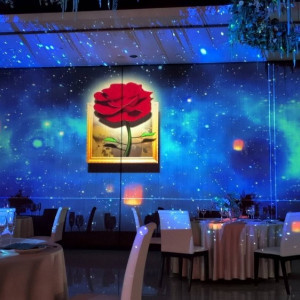 プロジェクションマッピング|768409さんのアヴァンセ リアン 大阪の写真(2562807)