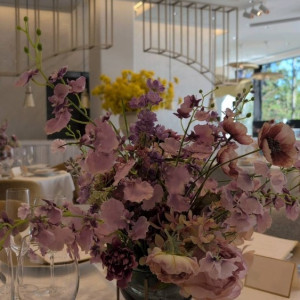 コーディネート|768409さんのザ ジャクソン ガーデンの写真(2560086)