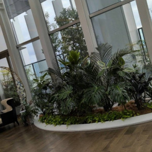 インナーガーデン|768409さんのアヴァンセ リアン 大阪の写真(2562811)