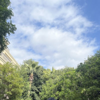 秋の開催ガーデン