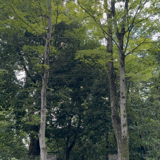 門にて