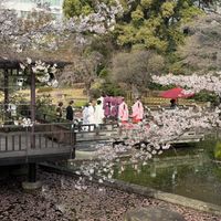 庭園