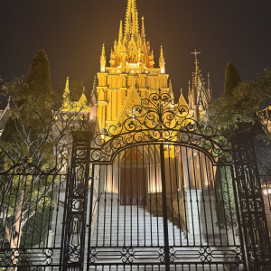 夜の外観|768553さんのセントグレース大聖堂(青山)の写真(2525132)