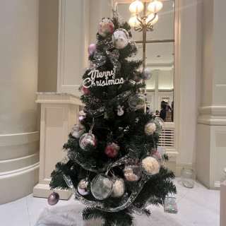 自分で用意したツリーです