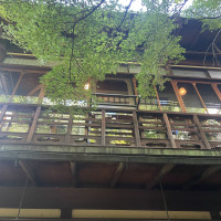 お庭です
