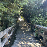 お庭です