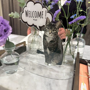 愛猫のアクリルスタンドを作成、持ち込みをして受付に飾りました|768758さんのアーカンジェル代官山/テイクアンドギヴ・ニーズウェディングの写真(2526101)