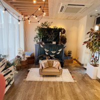ペットの椅子で写真撮影