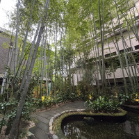 お庭には竹があり京都らしさも感じられるフォトスポットです
