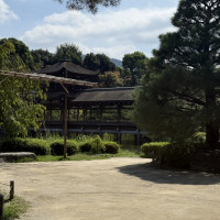 一般のお客さんもこのエリアは入れるようです