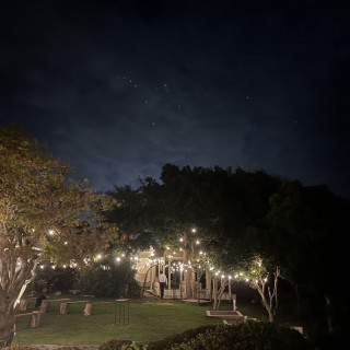 夜