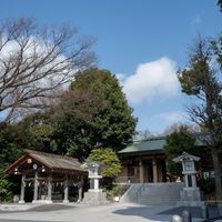 境内の写真