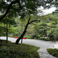 緑が多く綺麗でした