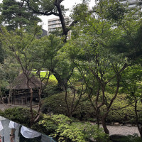 緑が多く綺麗でした