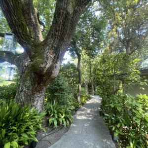 庭|769232さんのザ・ガーデンオリエンタル・大阪の写真(2528169)