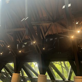 窓の外に緑が見えます