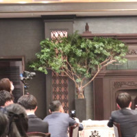 披露宴