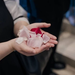 フラワーシャワー