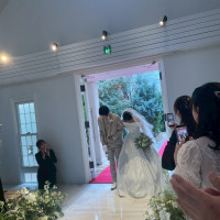 周りの植物が可愛かったです