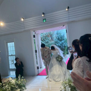 周りの植物が可愛かったです|769436さんのパークサイドハウス大阪の写真(2635212)