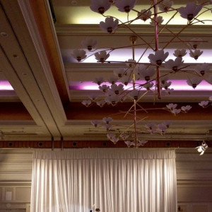 天井ライト演出|769552さんのART HOTEL NEW  TAGAWA(アートホテルニュータガワ)の写真(2529948)