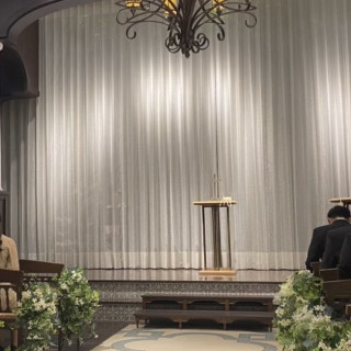 カーテンの後ろには緑いっぱいになっていました